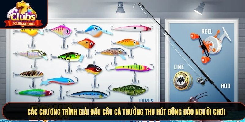 Các chương trình giải đấu câu cá thưởng thu hút đông đảo người chơi