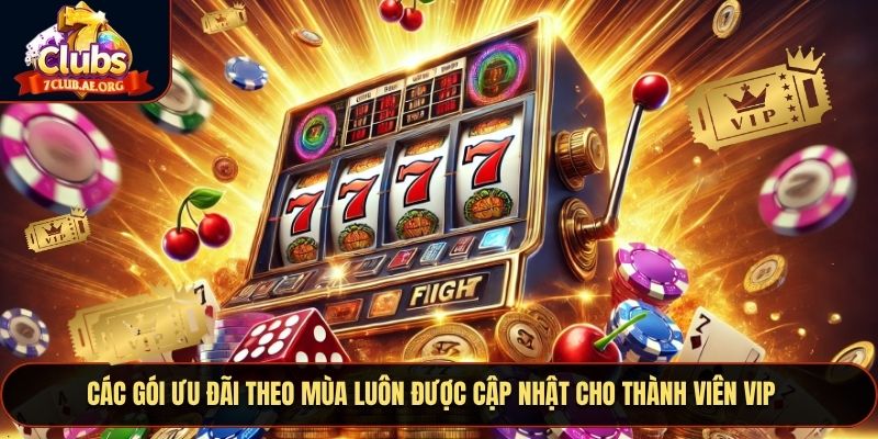 Các gói ưu đãi theo mùa luôn được cập nhật cho thành viên VIP