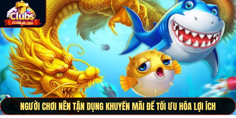 Người chơi nên tận dụng khuyến mãi để tối ưu hóa lợi ích